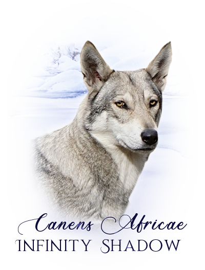 iko caens